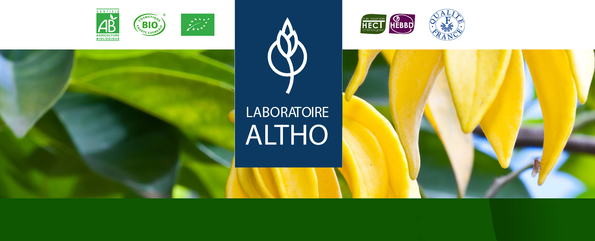 Laboratoire Altho - distribuzione - ingrosso